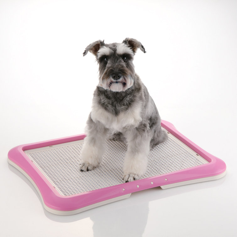 Dog training pad outlet tray